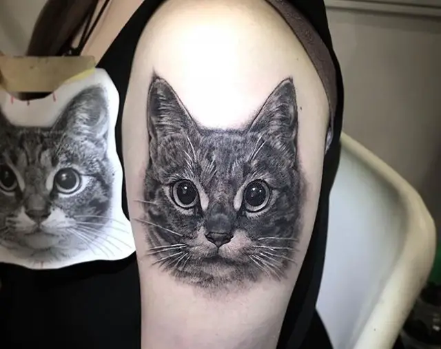 A 3D face of a Cat Portrait Tattoo on the shoulder