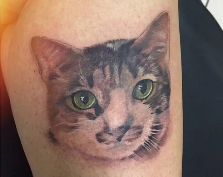 A black and white face of a Cat Portrait Tattoo on the leg