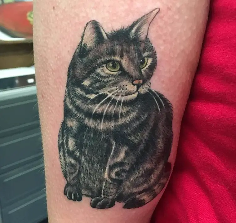 A black and white Cat Portrait Tattoo on the arm