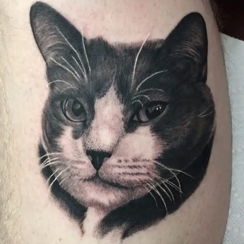 relistic black and white Cat Portrait Tattoo on the leg