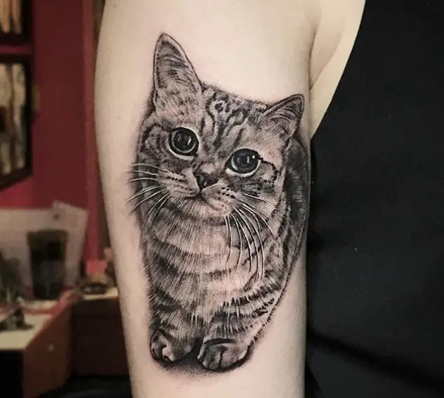 A black and white Cat Portrait Tattoo on the shoulder