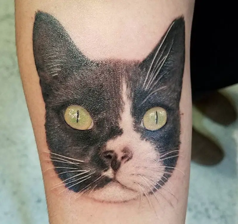 realistic face of a Cat Portrait Tattoo on the leg