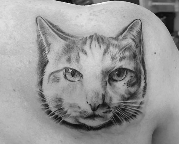 3D face of a Cat Portrait Tattoo on the back