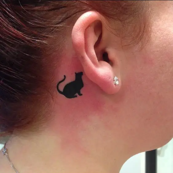 black cat sitting while looking up tattoo behind the ear