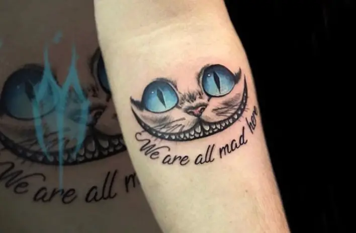 gray and white Cheshire Cat with pink nose and aqua blue eyes with words 