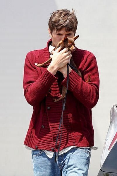 Ashton Kutcher walking on the street while kissing his Chihuahua