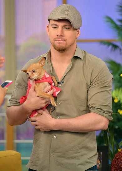 Channing Tatum carrying her Chihuahua dog in pink dress