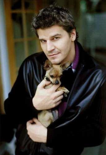 David Boreanaz holding his Chihuahua