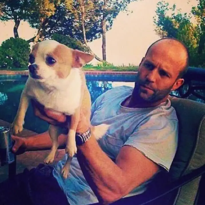 Jason Statham in the car while holding up his Chihuahua