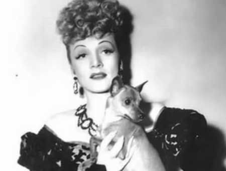 black and white photo of Marlene Dietrich with her Chihuahua