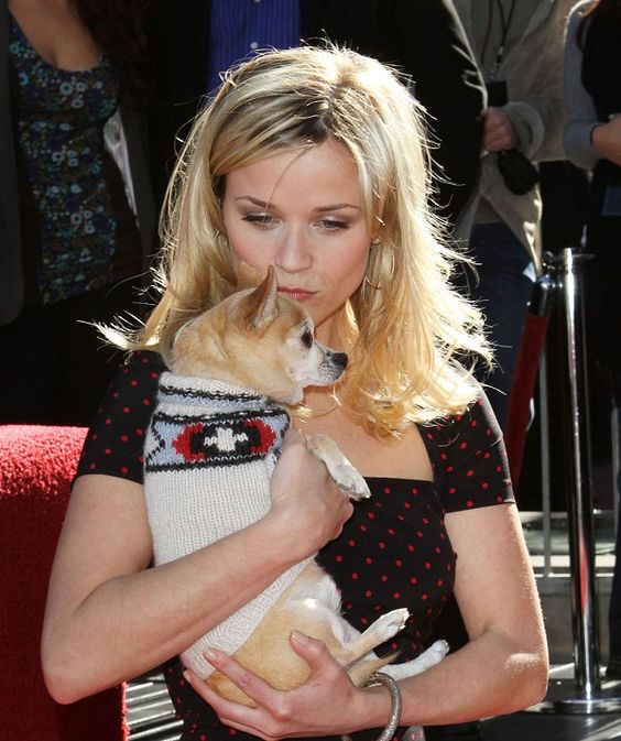 Reese Witherspoon kissing her Chihuahua