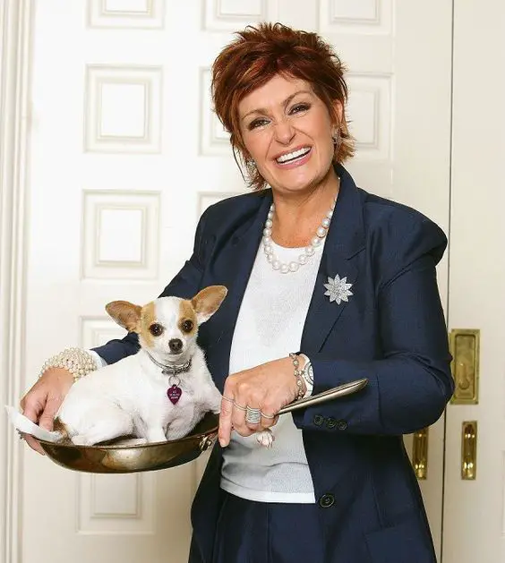 Sharon Osbourne and her Chihuahua dog in a pan