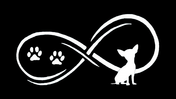 A Decal Sticker of an infinity sign with two paw prints and a chihuahua