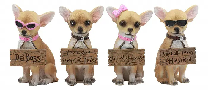 four cute Chihuahua wearing funny sign board statues