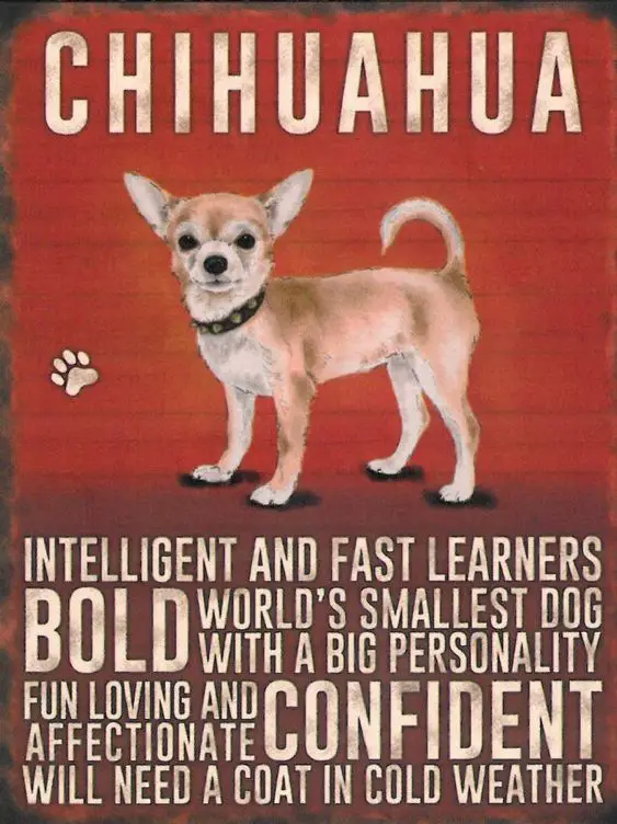 tan Chihuahua animated photo with a text 