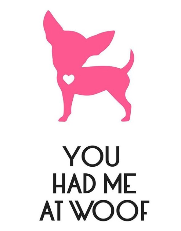 pink Chihuahua with a heart hole in its chest and a quote 