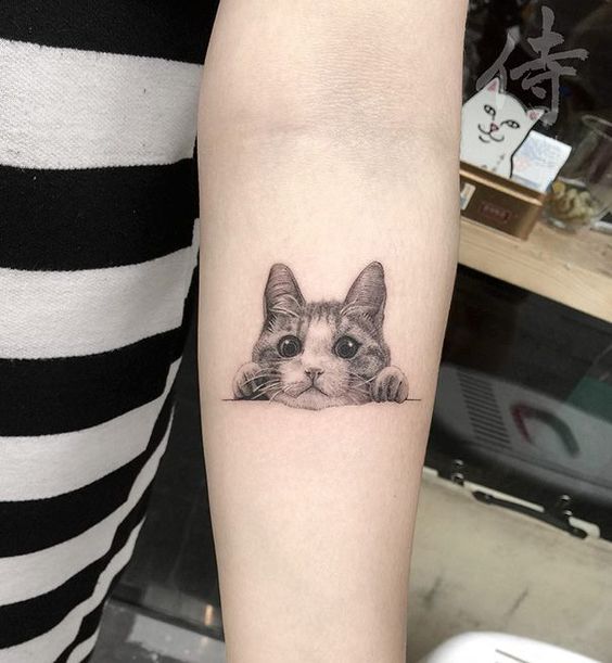 realistic peeking cat tattoo on the forearm