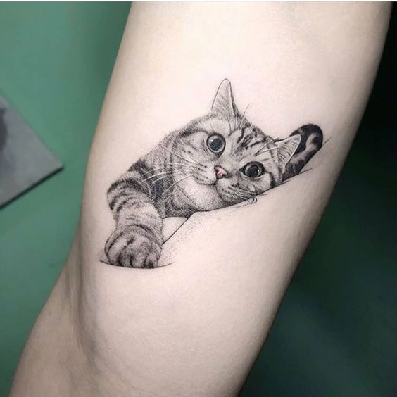 lying down realistic cat tattoo on the biceps
