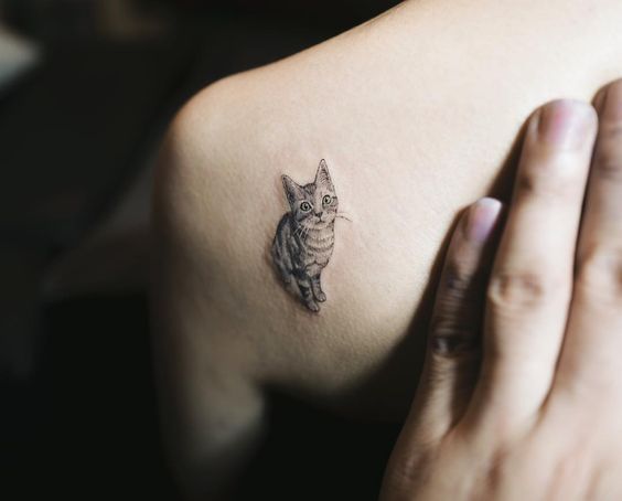 minimalist realistic cat tattoo on the shoulder