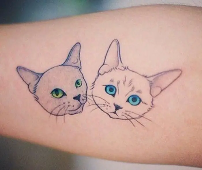 faces of two cats tattoo on the leg