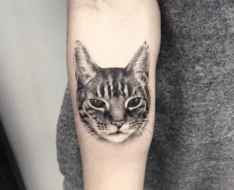 realistic face of a black and gray cat tattoo on the forearm
