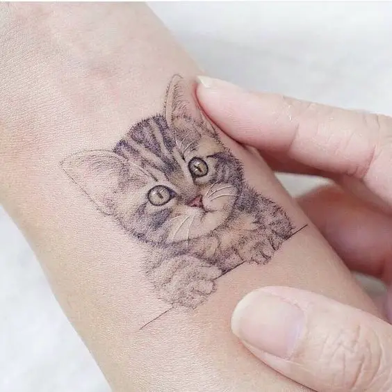 a realistic kitten tattoo on the wrist