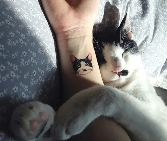 face of a black and white cat tattoo on the wrist of a woman while being hugged by a cat on the bed