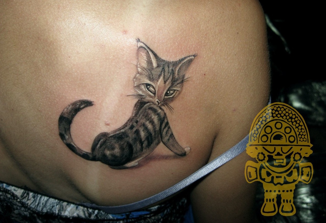 animated sitting cat while looking back tattoo on the back