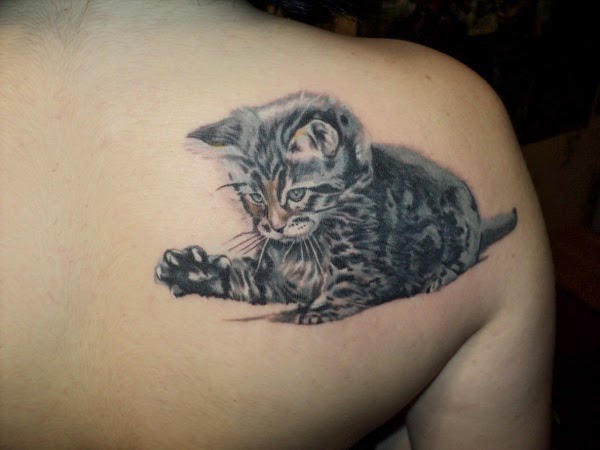 a realistic kitten tattoo on the back