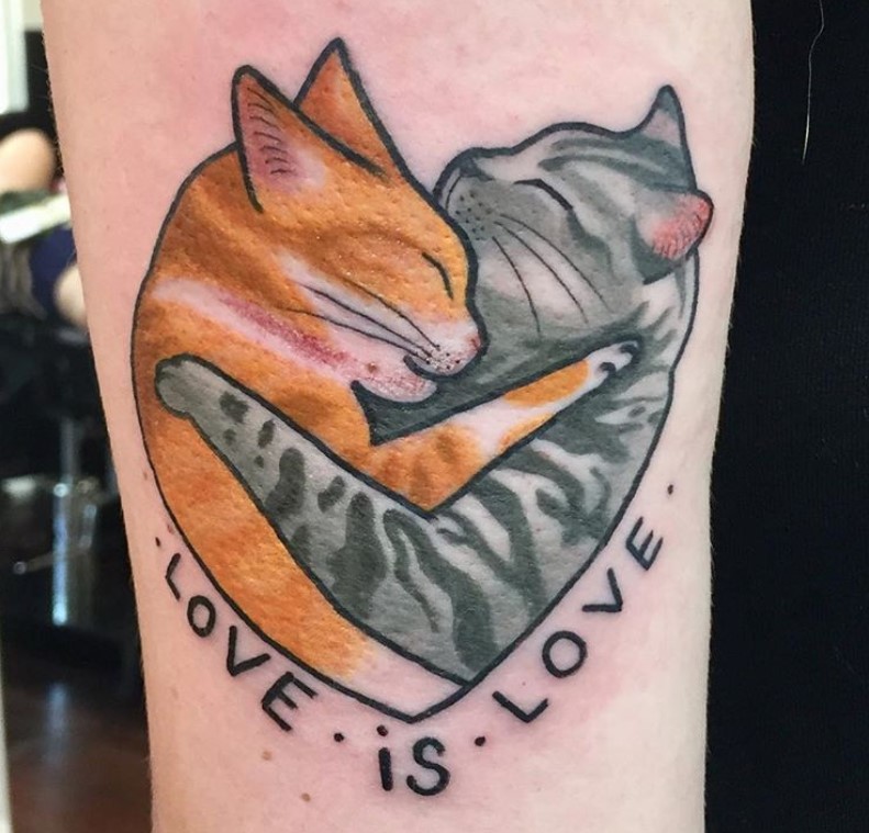 gray and orange cat hugging each other tattoo on the shoulder