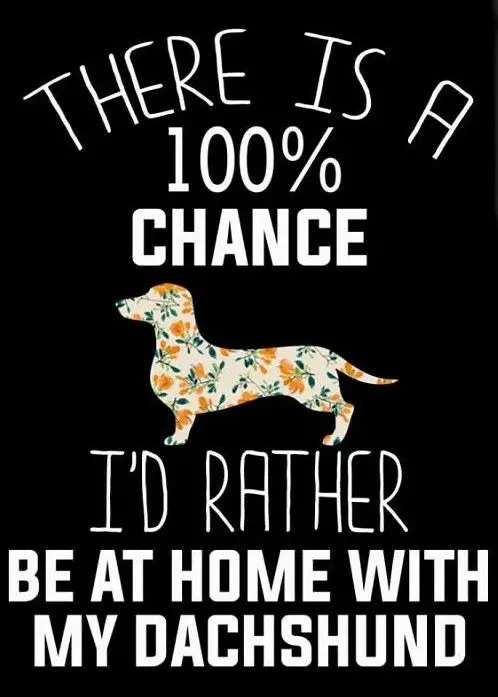 A Dachshund character with florals and with quote - There is a 100% chance I'd rather be at home with my Dachshund