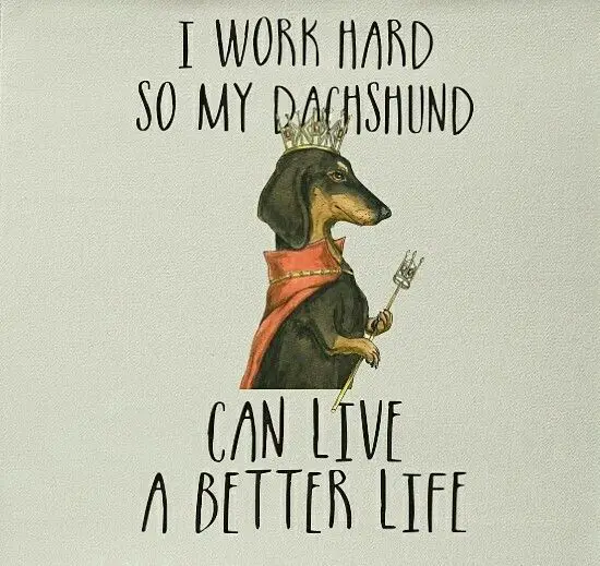 A Dachshund queen artwork with quote - I work hard so my Dachshund can live a better life