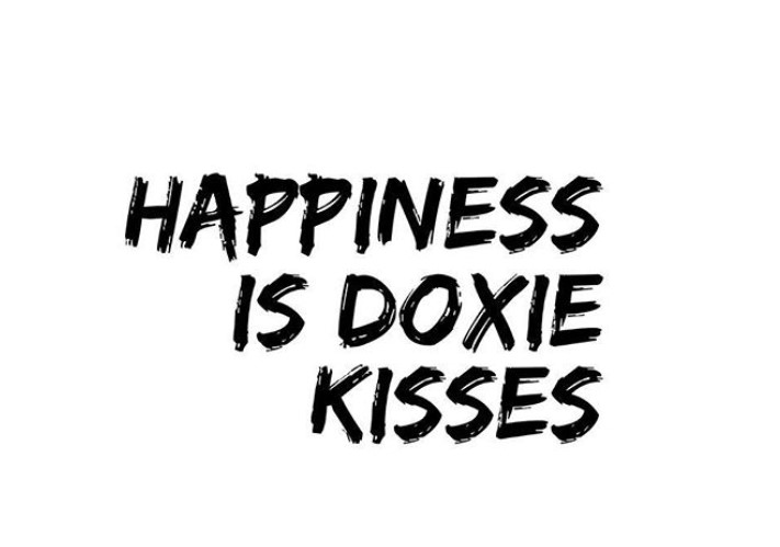 A quote - Happiness is doxie kisses