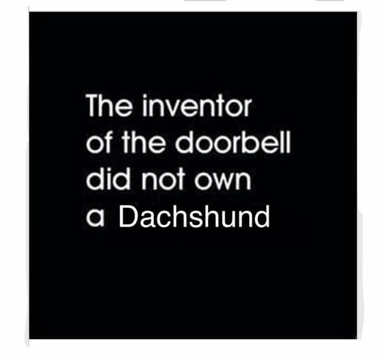 A quote - The inventor of the doorbell did not own a Dachshund.