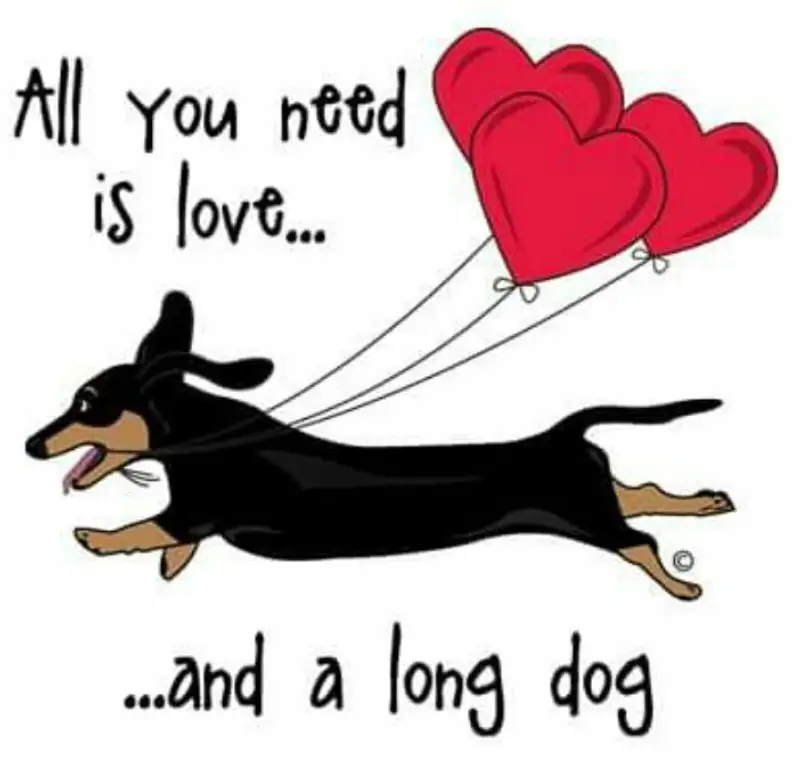 an artwork of a running Dachshund with a floating balloon and saying - all you need is love... and a long dog