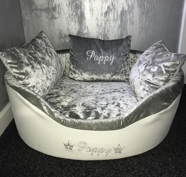velvet silver Dog Bed Ideas
