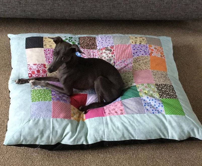 pillow Dog Bed Ideas 