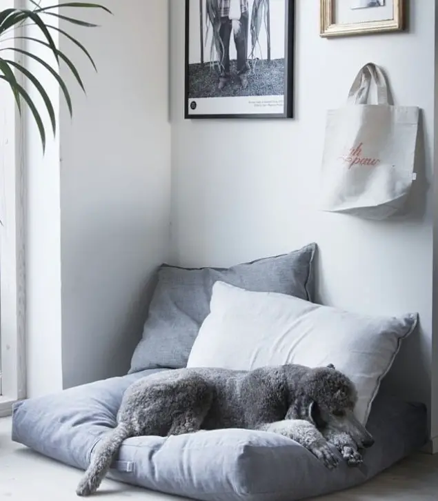 pillow Dog Bed Ideas 