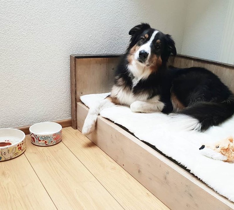 wooden Dog Bed Ideas