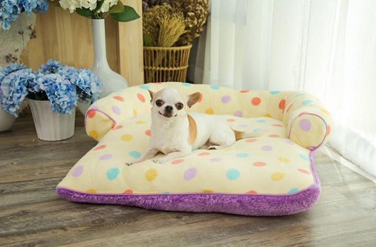 cute Dog Bed Ideas with chichuahua smiling