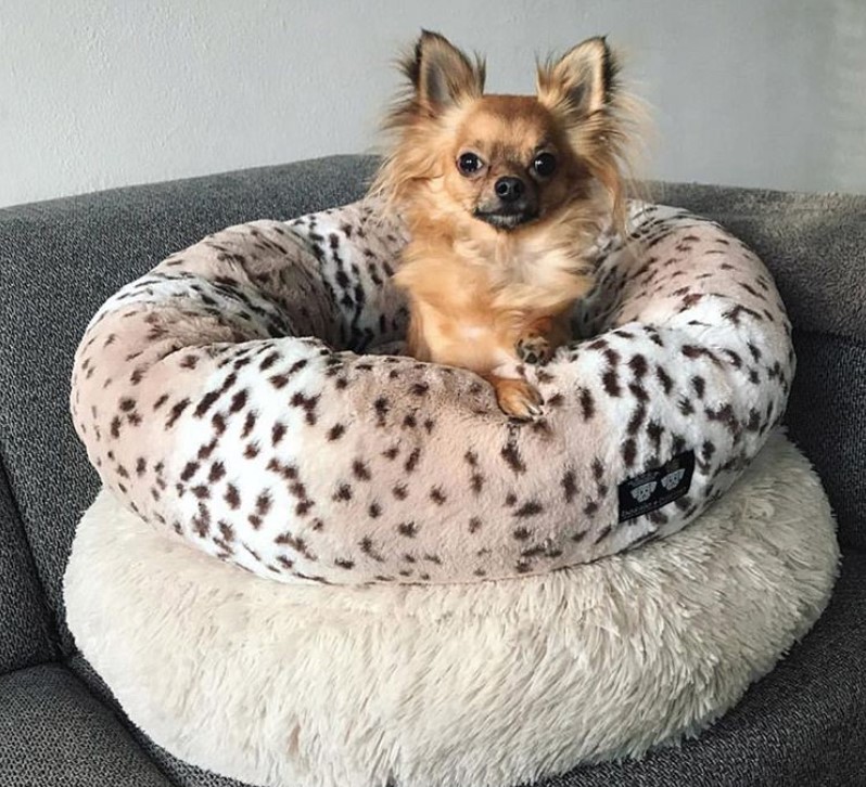 donut Dog Bed Ideas 