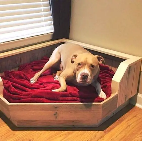 wooden Dog Bed Ideas 