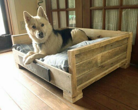 wooden Dog Bed Ideas with dog resting