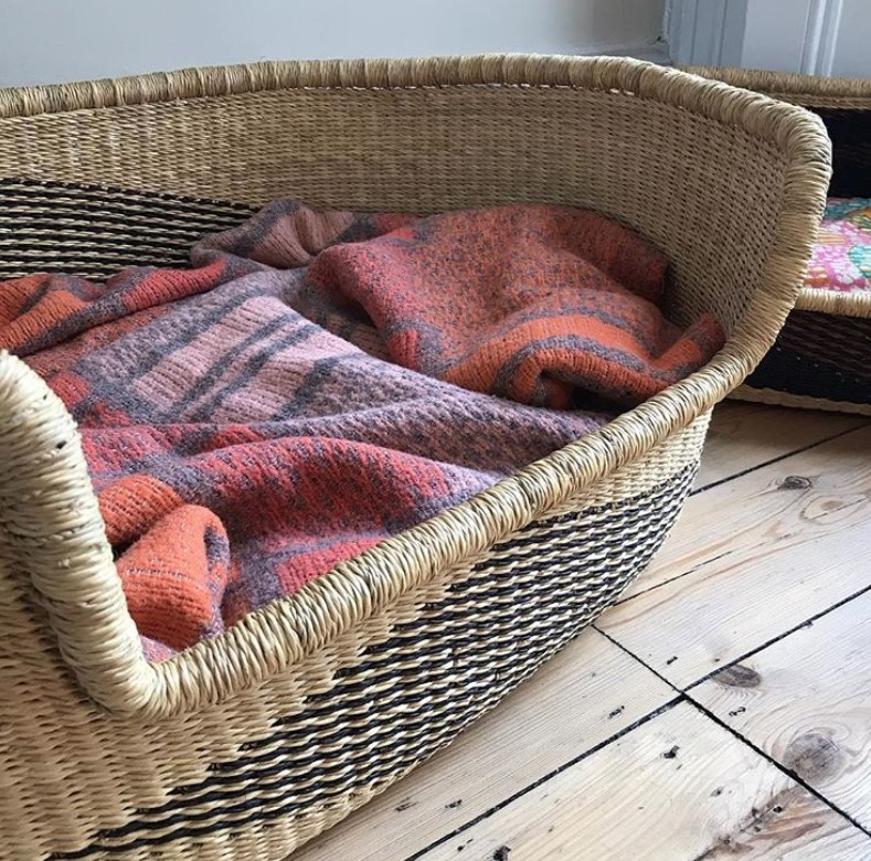 rattan Dog Bed Ideas 