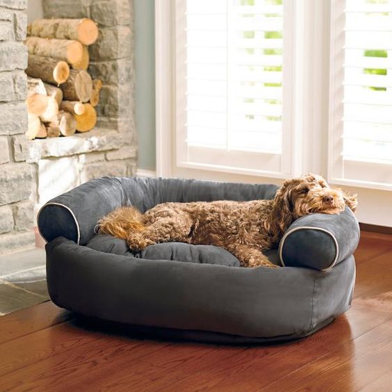 foam dog bed idea