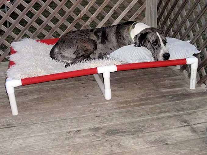 folding bed Dog Bed Ideas