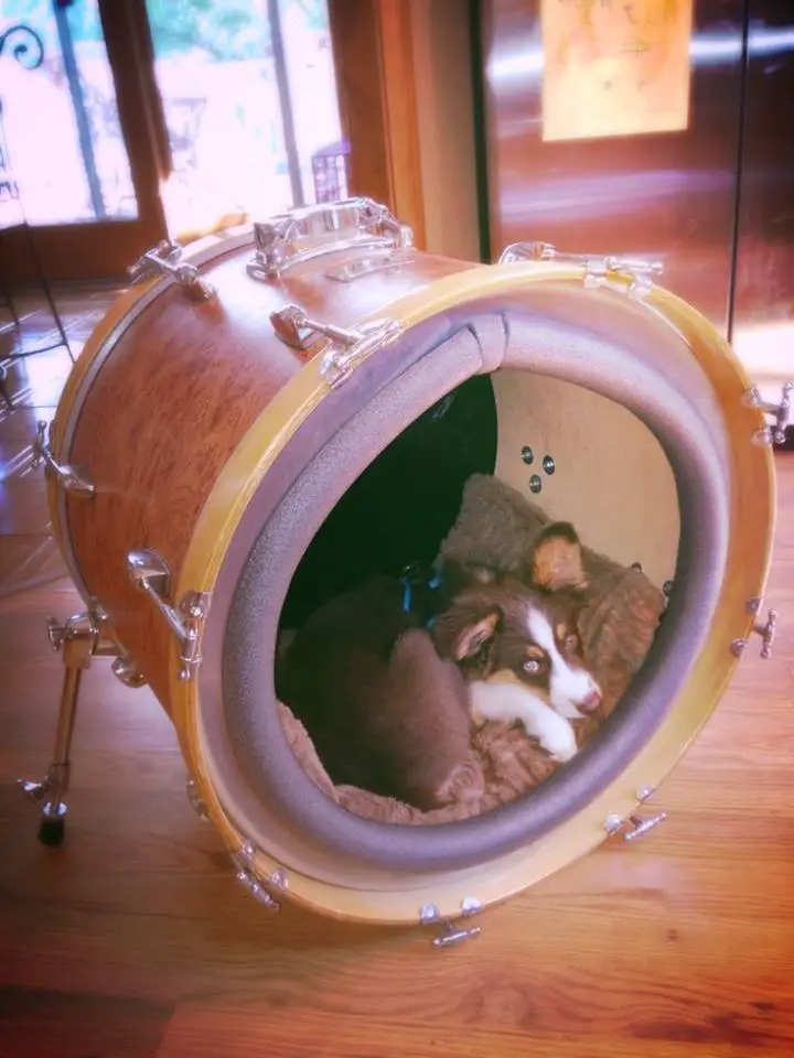 repurposed drum Dog Bed Ideas