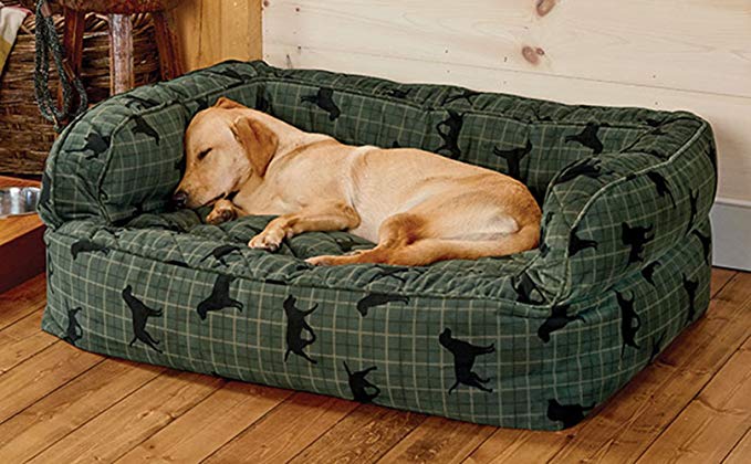 foam Dog Bed Ideas with sleeping dog