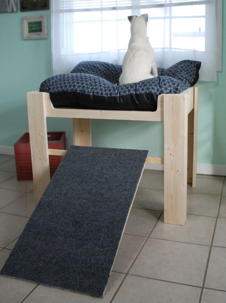 wooden raised Dog Bed Ideas with dog sitting facing the window