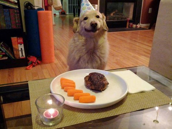 Golden Retriever wearing a birthday hat sitting behind the table with a small cake and carrots on the plate